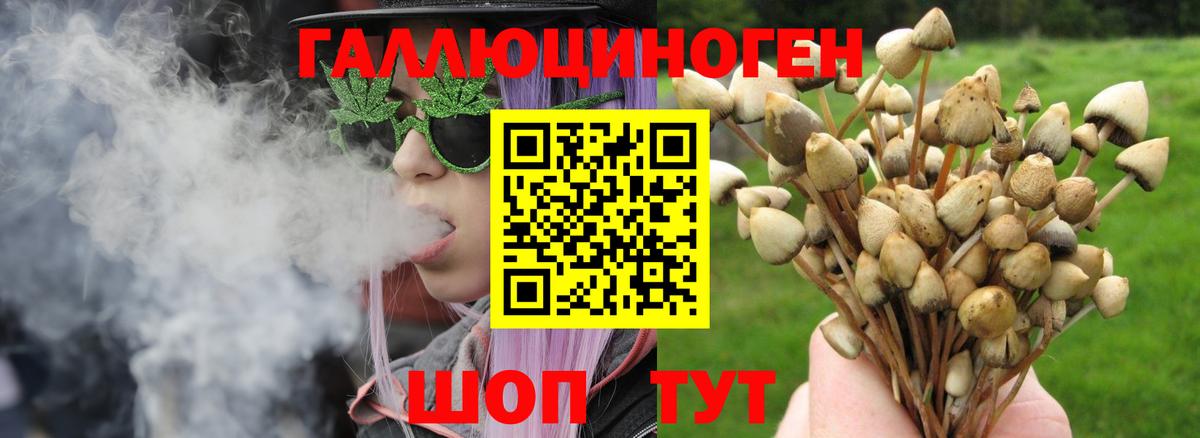 Псилоцибиновые грибы прущие грибы  Вход с VPN  Берёзовский  Галлюциногенные грибы Cubensis 